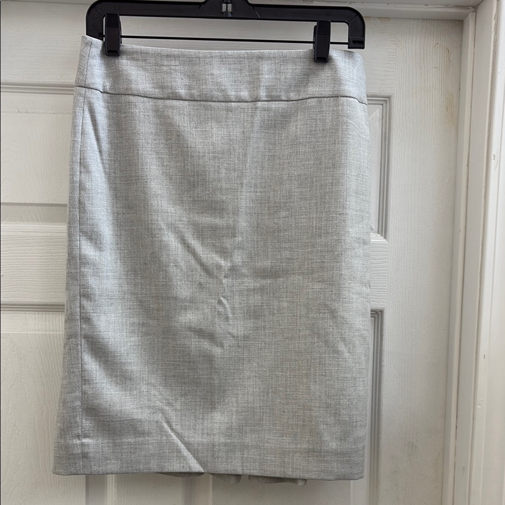 Elegant Gray Women's Skirt